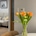 mingming_home