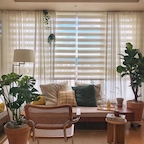 Lacasamia님의 프로필 이미지