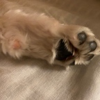 대추누나🐾님의 프로필 이미지