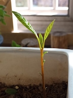 숏앤롱님의 프로필 이미지