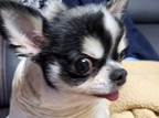 정주원71님의 프로필 이미지