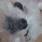 한리보ㅎ님의 프로필 이미지