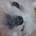 아바타 사진