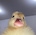 작성자 이미지