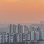 코옹코옹코님의 프로필 이미지