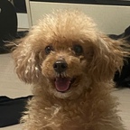 일리삼사님의 프로필 이미지