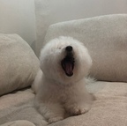 러블리령님의 프로필 이미지