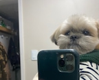 bin_nini님의 프로필 이미지