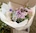 periwinkle_