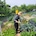 onneu_house