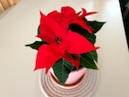 coolsook_home님의 프로필 이미지