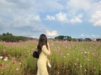 피치메리미님의 프로필 이미지