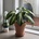 아바타 사진