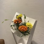 haeppi.ne님의 프로필 이미지