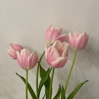 rchl_home님의 프로필 이미지