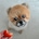 chae__mii