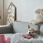 롸롸홈님의 프로필 이미지