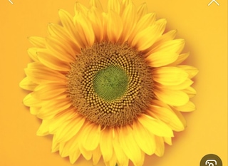 https://image.ohousecdn.com/i/bucketplace-v2-development/uploads/users/profile_images/168571164726452435.jpeg?w=320
