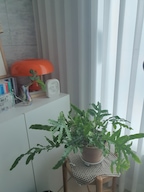 min_'s님의 프로필 이미지