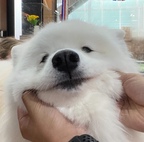 융ㄷI님의 프로필 이미지