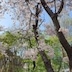 아바타 사진