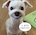 앙쏘0