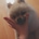 hemgo