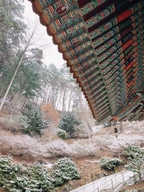 오이마님의 프로필 이미지