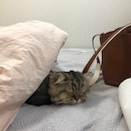 미소루우님의 프로필 이미지
