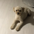 물망초321님의 프로필 이미지