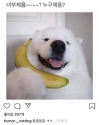 ㅂㅊ2님의 프로필 이미지