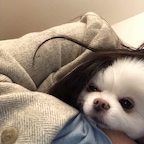 작은제주도님의 프로필 이미지