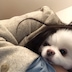 아바타 사진