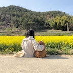 알로하거제님의 프로필 이미지