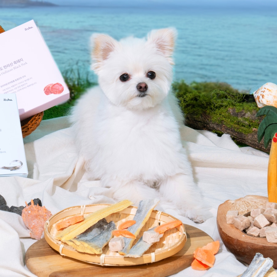 핏펫 잇츄 제주산 원물 동결건조 (흑돼지/은갈치/당근) 강아지 고양이 제철간식