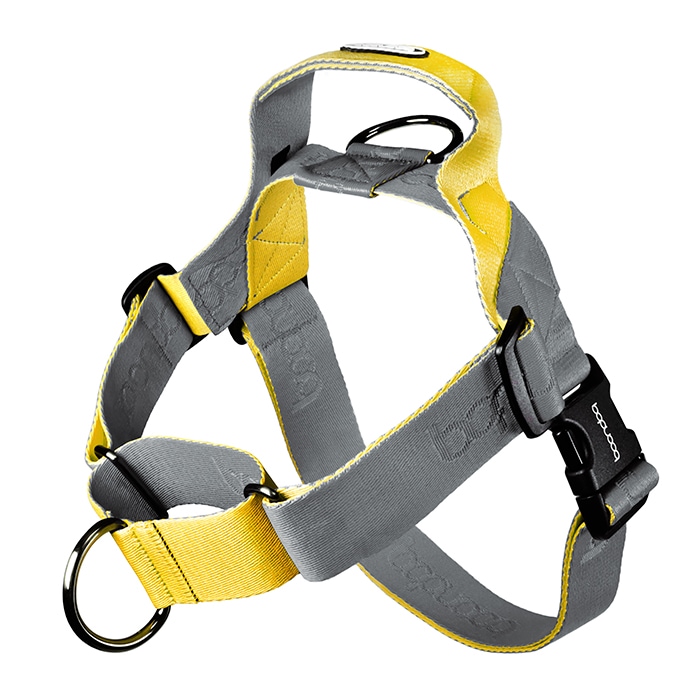 [신상품]분독 0109 마틴게일 하네스 그레이레몬 앞고리 겸용