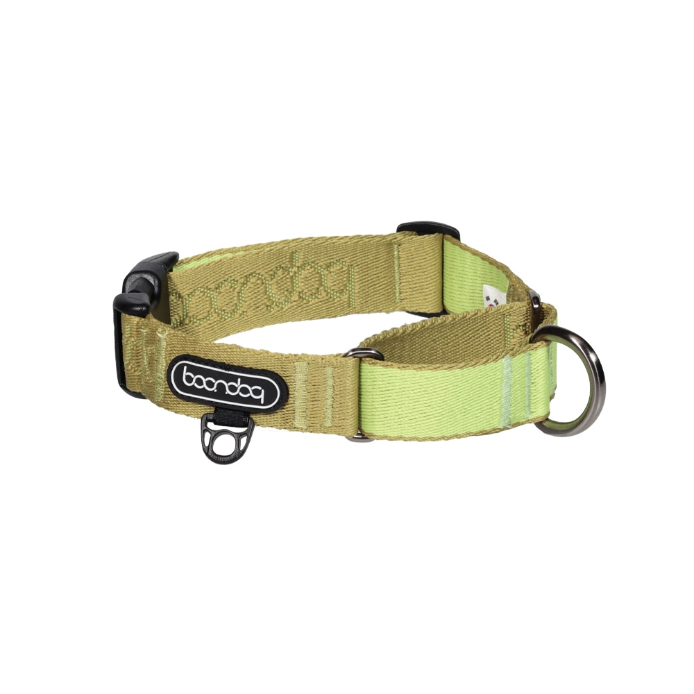 분독 마틴게일 오리지널 목줄 키위