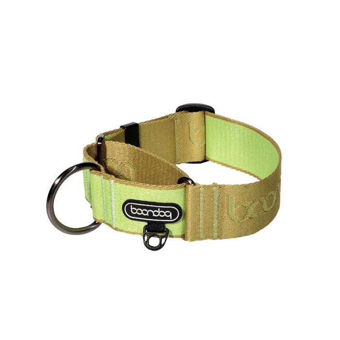 분독 마틴게일 와이드 목줄 키위