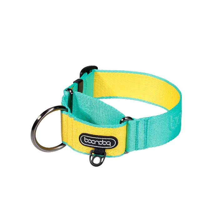 분독 마틴게일 와이드 목줄 민트레몬