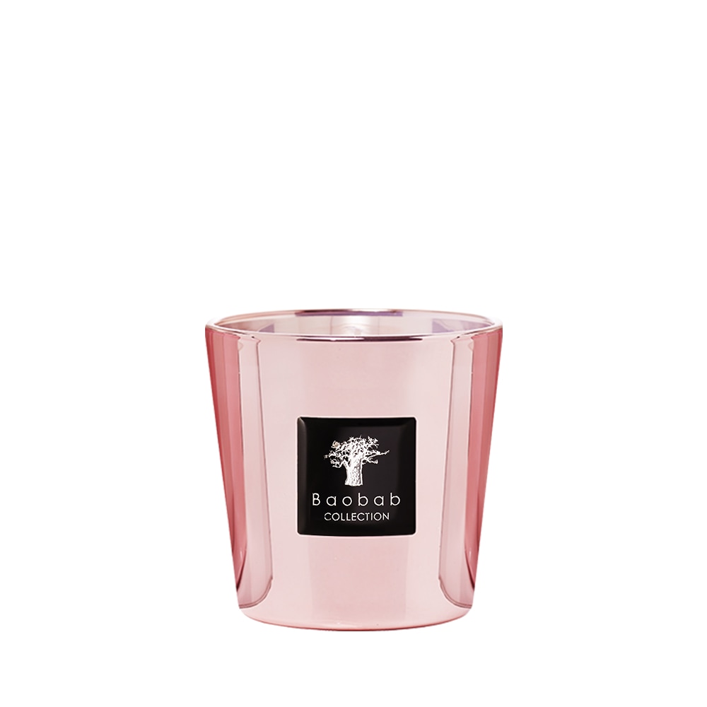 바오밥컬렉션 맥스원_레 익스클루시브 캔들(200g)_로지움