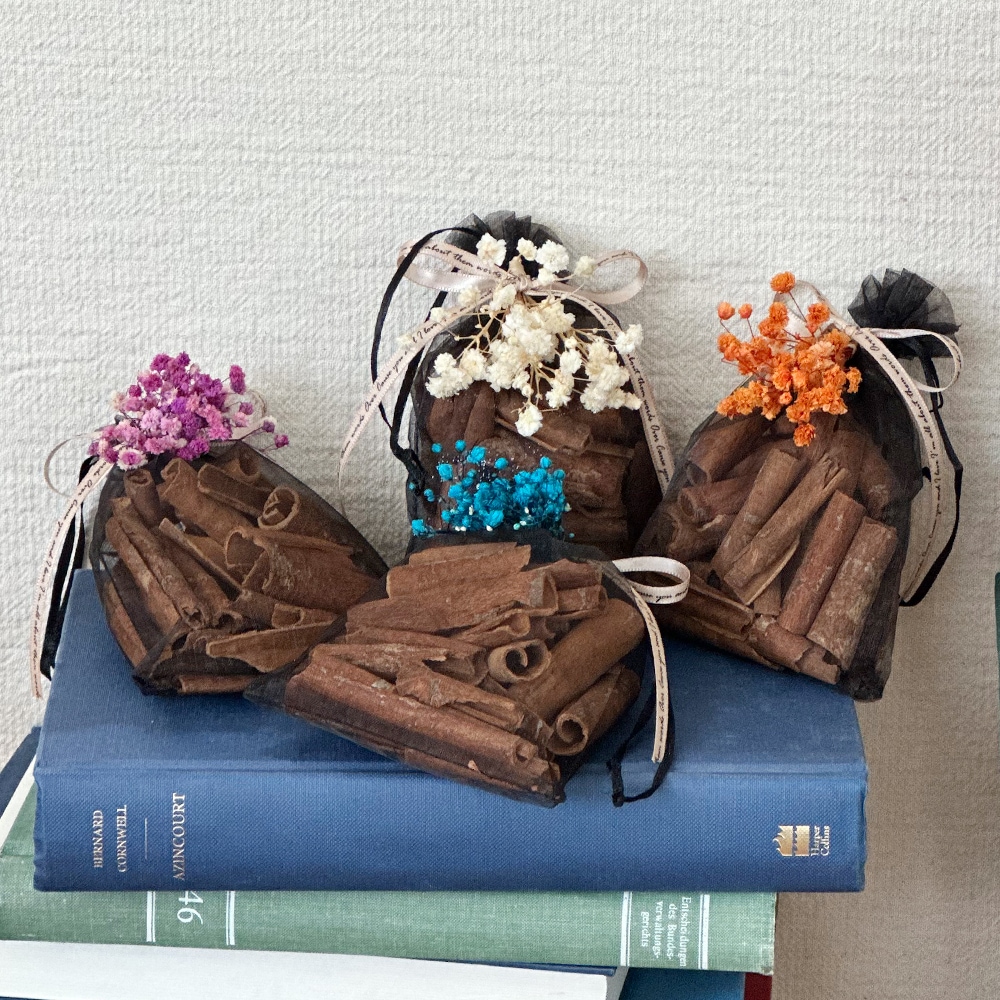 아스파시아 모기 벌레 기피 시나몬스틱 파우치 4Types 여름철 모기 퇴치