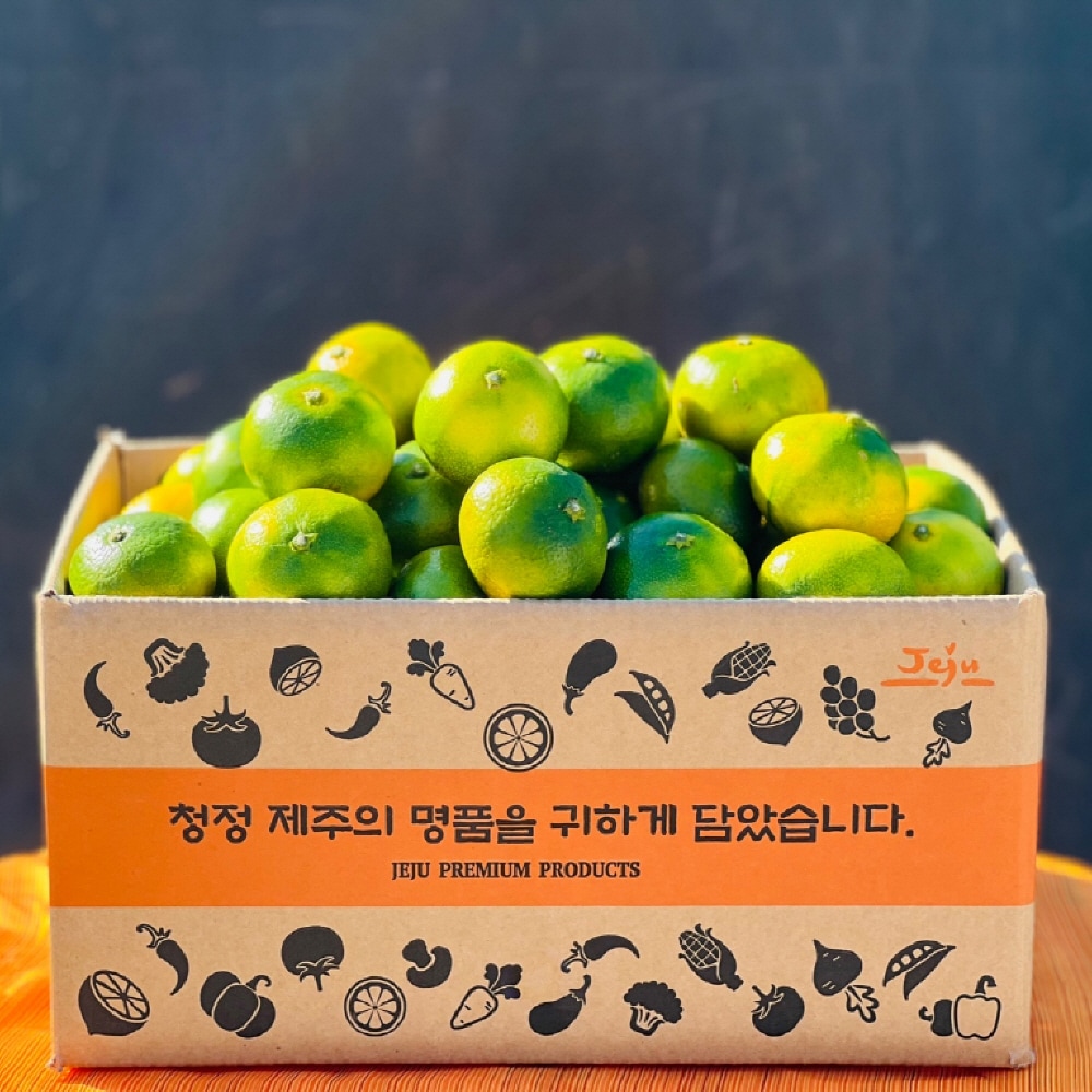 산해직송 [오늘신선] 제주 타이벡 감귤 효돈 4.5kg/9kg