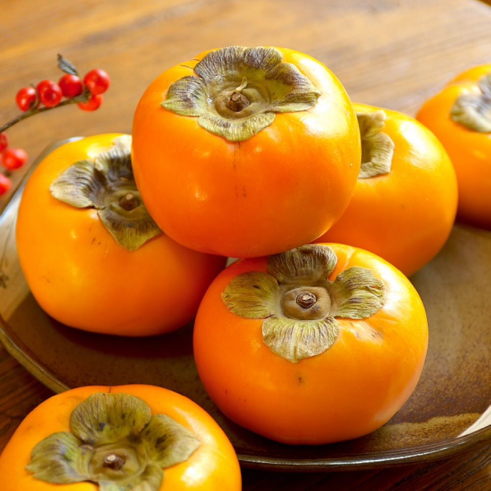 산해직송 햇 단감 상서 부유 창원 진영 진주 문산 농장 2kg, 4.5kg