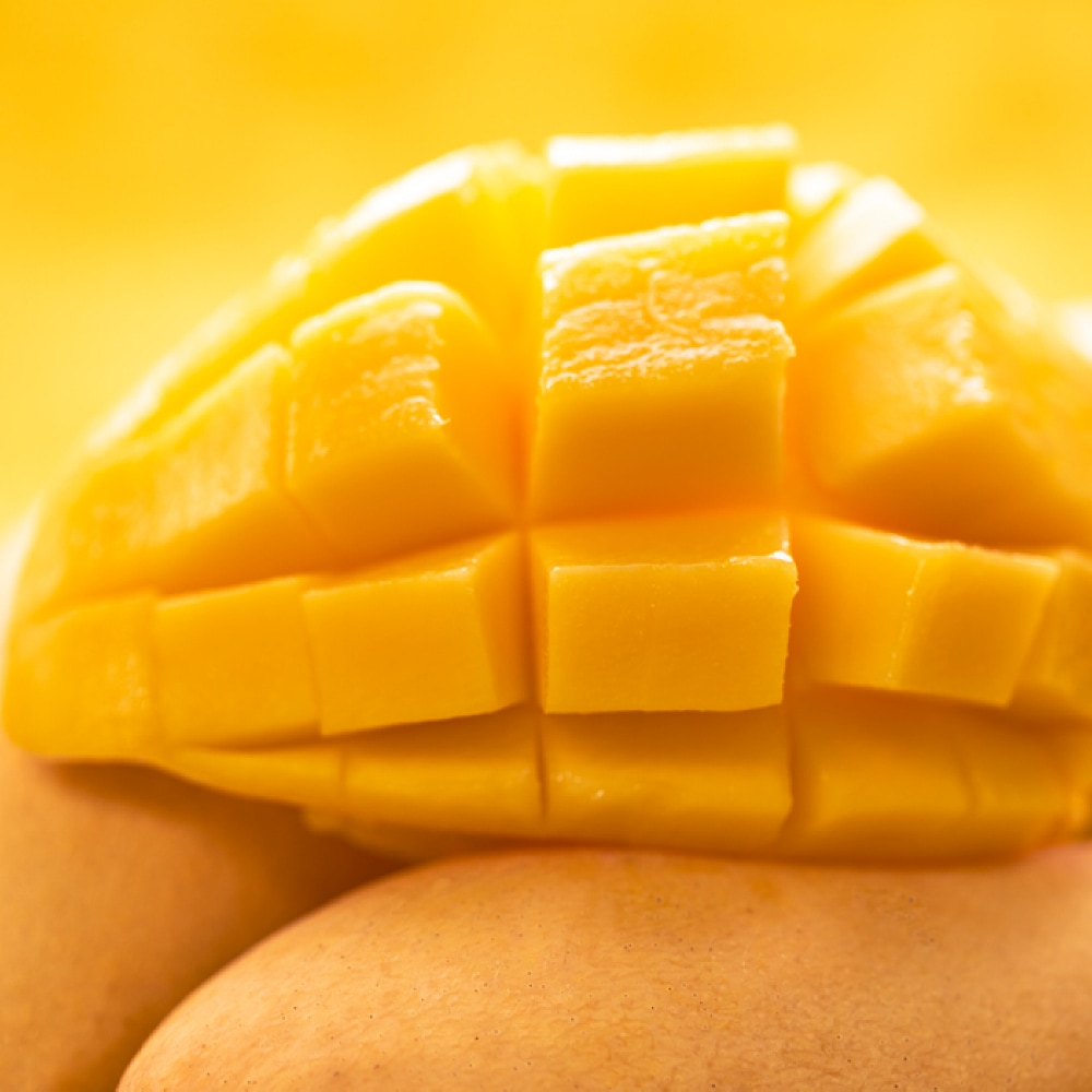 산해직송 [오늘신선] 태국 마하차녹 무지개망고 2kg 4kg 2키로 생망고 수입과일