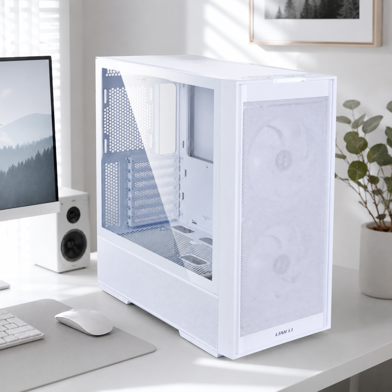 리안리 서린공식 LANCOOL 207 (화이트)