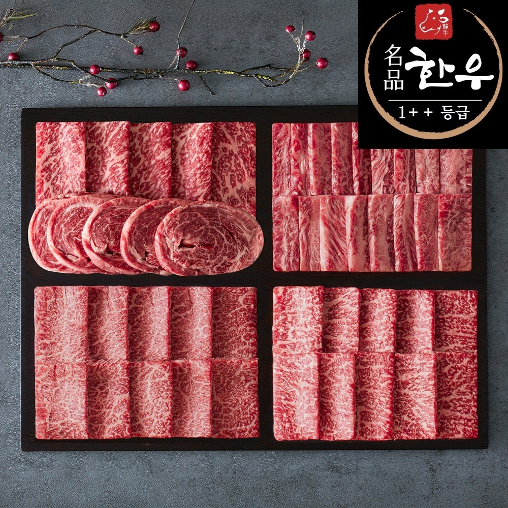 손수맛찬 1++ 명품 청정 제주 한우 투뿔 600g 모듬세트 구이용 세트 HHJ6