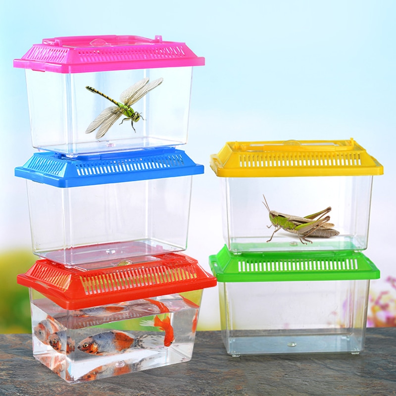 반디몰 곤충 채집통 소 대 관찰통 어항 다슬기 보관 케이스
