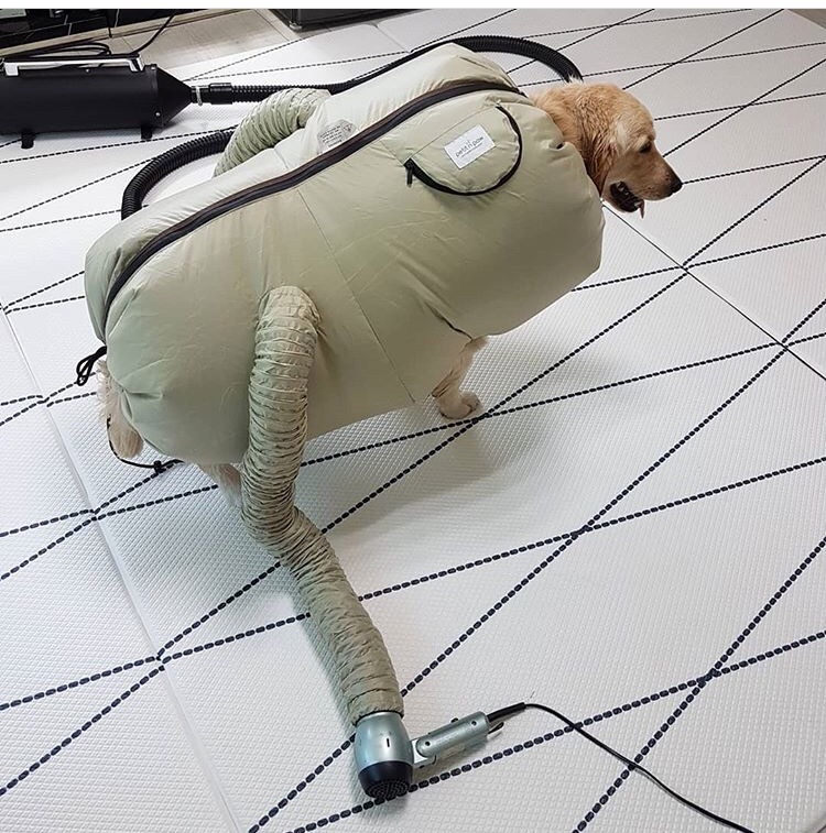 쁘띠앤포 웨어러블 펫드라이어 4size - L