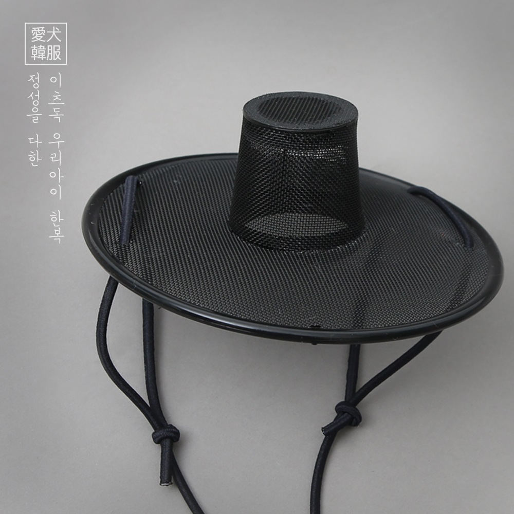 이츠독 오 마이 갓