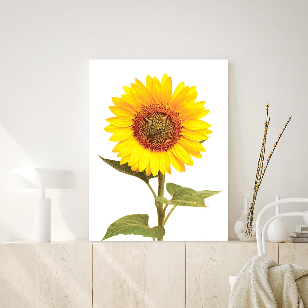 오홀리브 접이식 액자테이블 해바라기 3size - 소(60x40) 해바라기_27cm기본다리 